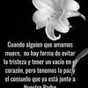 alejandroram744